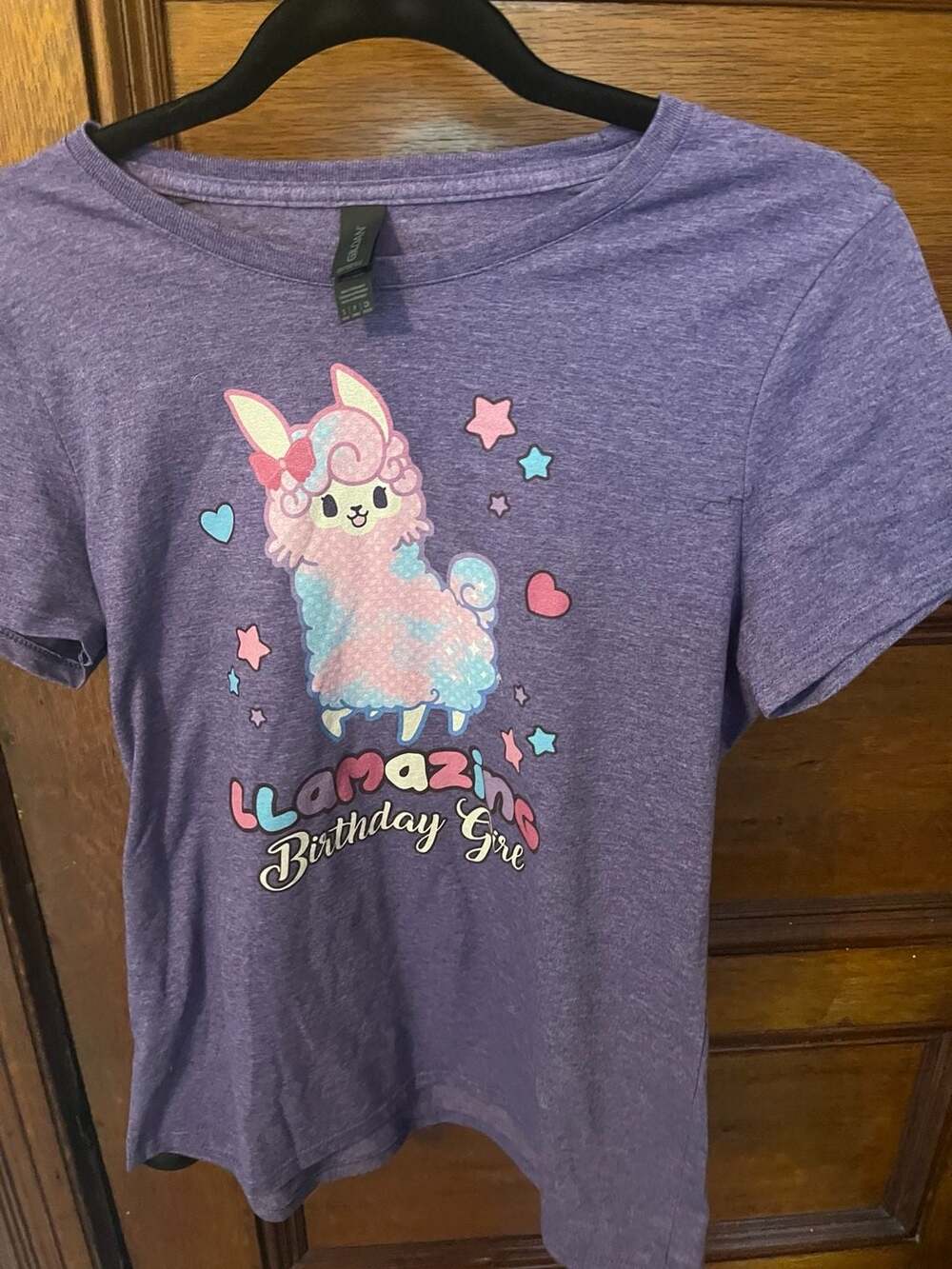 Gildan Softstyle Purple Llama Birthday Girl Graphic T-Shirt Size Small